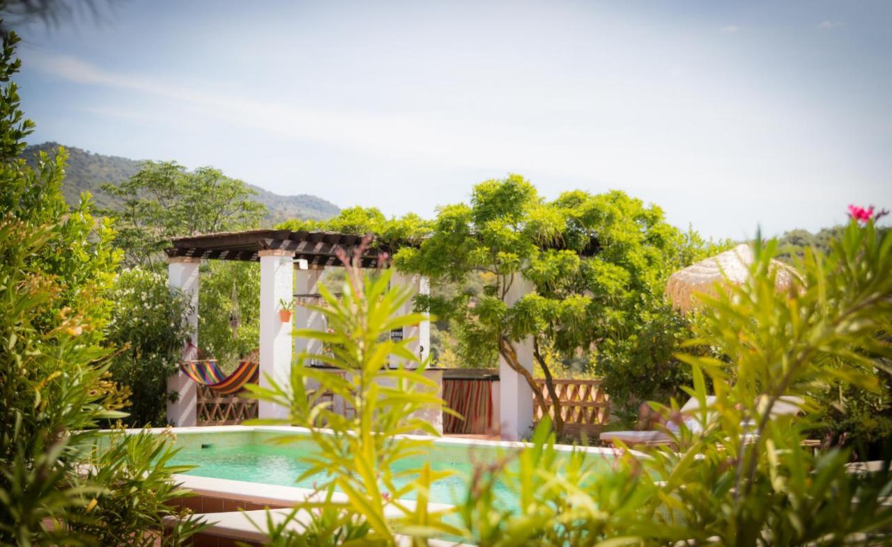 Hacienda El Tarajal Hotel Priego De Cordoba Luaran gambar