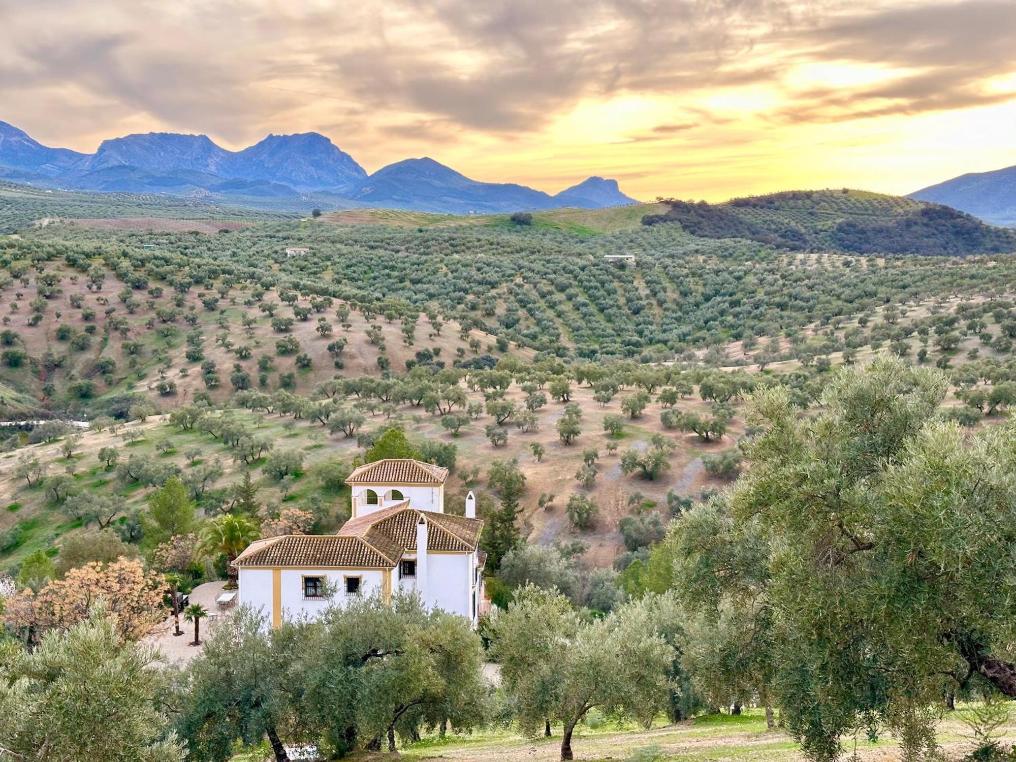 Hacienda El Tarajal Hotel Priego De Cordoba Luaran gambar
