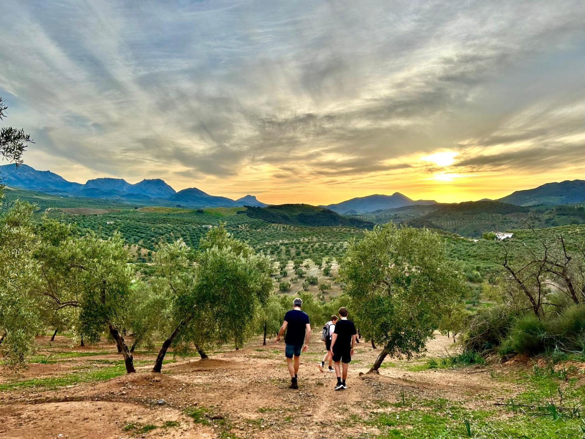 Hacienda El Tarajal Hotel Priego De Cordoba Luaran gambar
