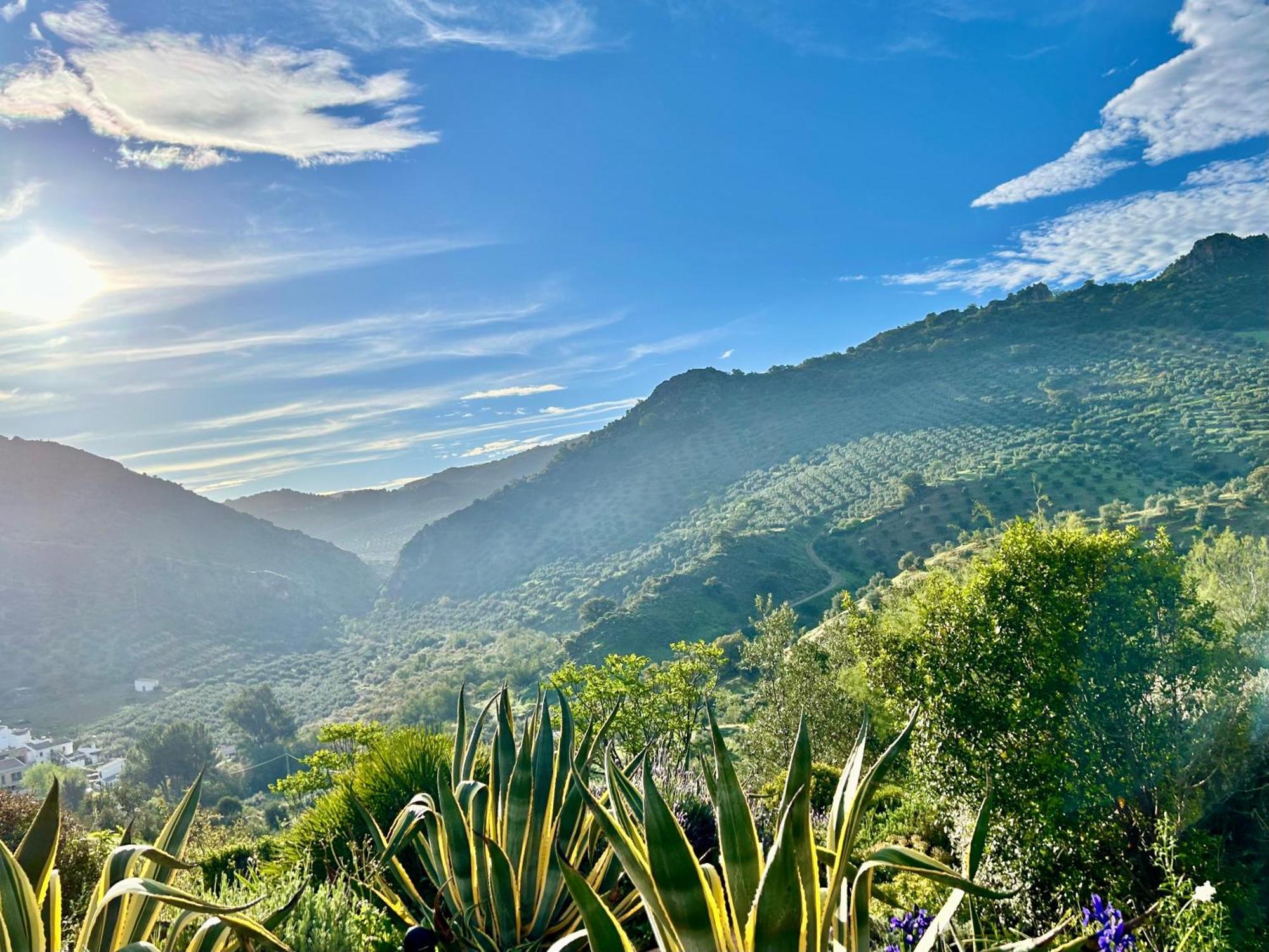 Hacienda El Tarajal Hotel Priego De Cordoba Luaran gambar